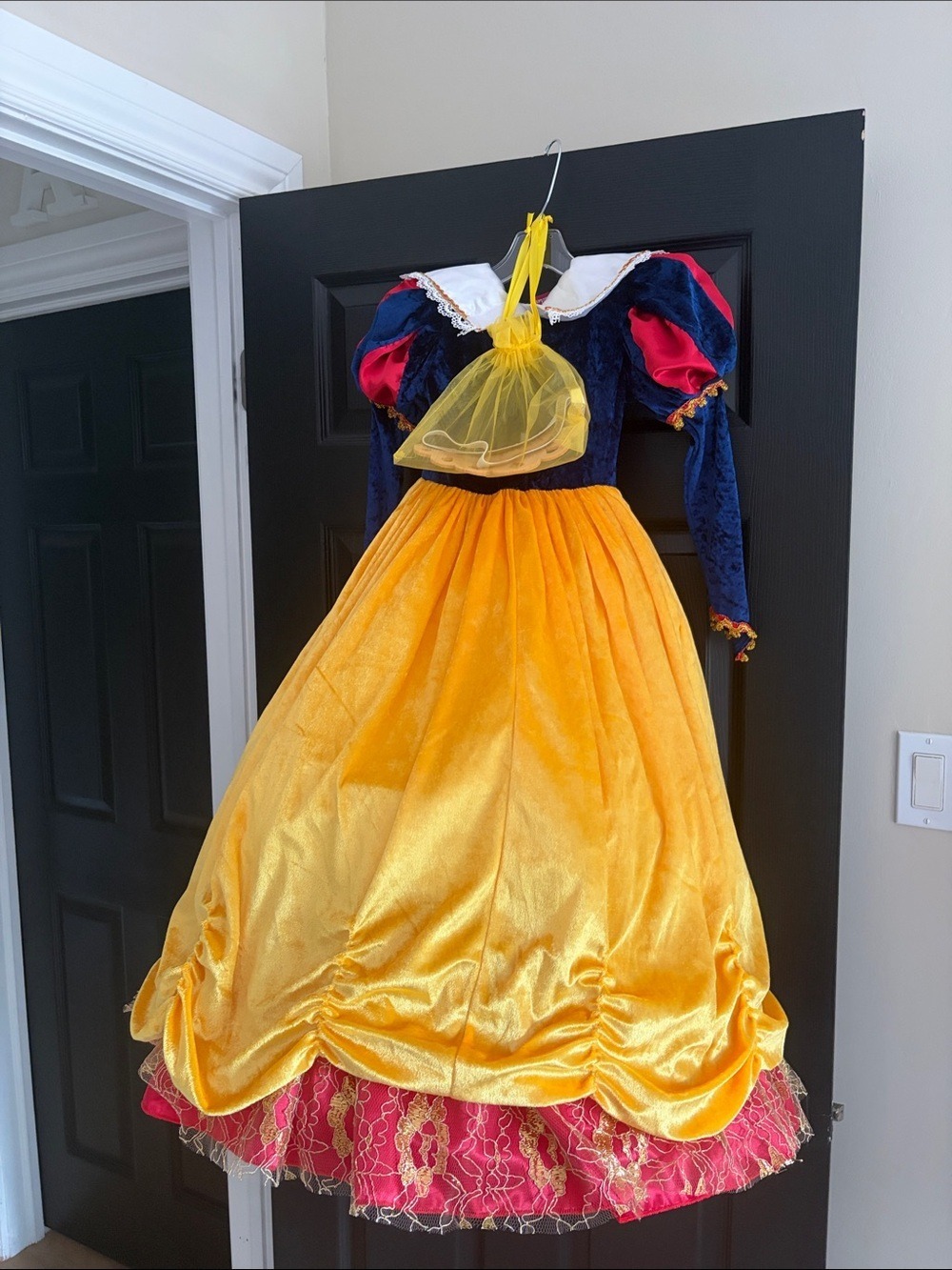 Classic Yellow & Blue Princess Costume Dress with Red Accents